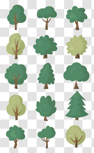 Trees - Variety Of Cartoon Trees Illustration Transparent PNG
