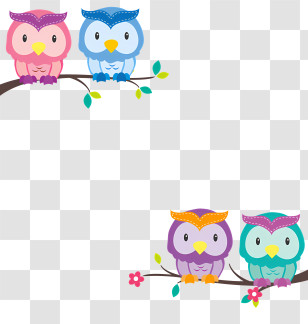 Birds - Cartoon Owls On Branches Transparent PNG