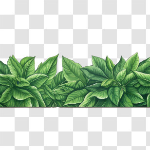 Leaf Border - Lush Green Leaves Border Transparent PNG