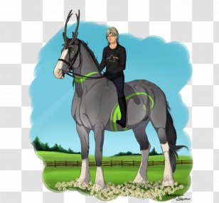 Stallion English Riding Mustang Rein Mare Transparent PNG