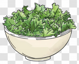 Kale Salad - Fresh Bowl Of Lettuce Leaves For A Healthy Meal Transparent PNG