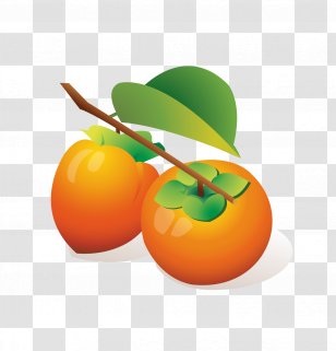 Persimmon Cartoon Orange - Tomato Transparent PNG