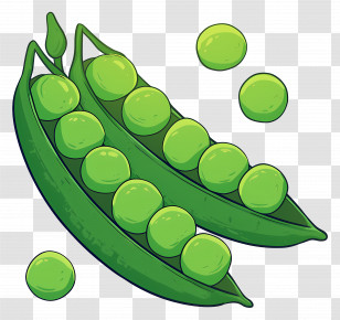 Green Peas - Twin Green Pea Pods Illustration Transparent PNG