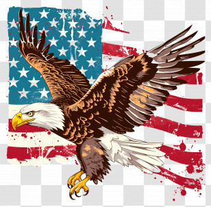 American Eagle Day - Bald Eagle With American Flag Illustration Representing Patriotism Transparent PNG