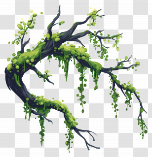 Tree Branch Moss - Tree Branch Enhanced With Hanging Moss Transparent PNG
