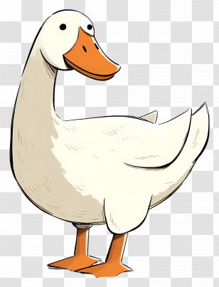 Cartoon Goose - White Cartoon Duck Illustration Transparent PNG
