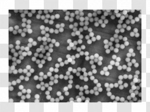 Lateral Flow Test Rapid Diagnostic Immunoassay Reagent Material - Polka Dot - Fluorescence Line Transparent PNG