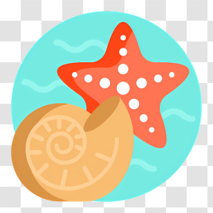 Seashell Icon - Starfish And Shell Transparent PNG