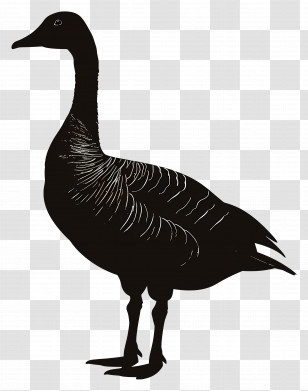 Goose Silhouette - Goose Silhouette On Transparent Background Transparent PNG