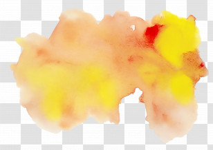 Close-up Transparent PNG