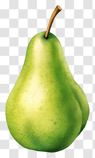 1 Pear - Ripe Green Pear Illustration Transparent PNG