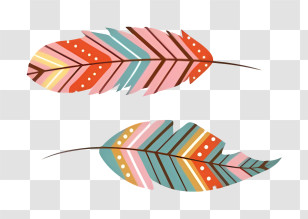 Arrow - Colorful Decorative Feathers Transparent PNG