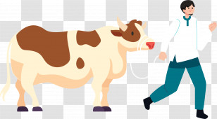 Eid Ul Adha - Man Leading A Cow Transparent PNG