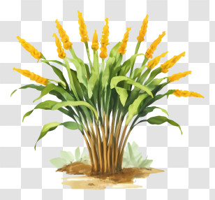 Cartoon - Yellow Blooming Plant With Green Leaves Transparent PNG