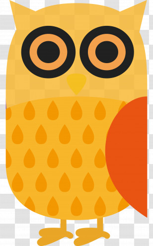 Owl M Yellow Meter Beak Pattern Transparent PNG
