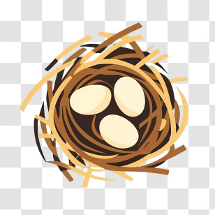 Cartoon Eggs - Bird Nest With Eggs Illustration Transparent PNG