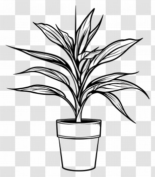 Potted Plant - Line Art Of A Potted Plant Transparent PNG