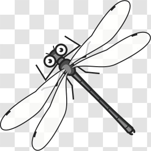 Icon - Monochrome Dragonfly Character Illustration Transparent PNG