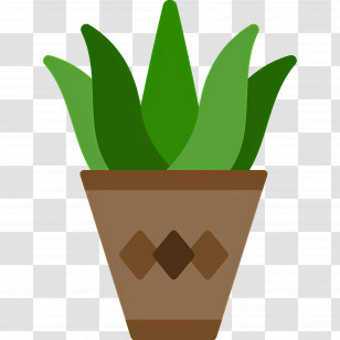 Aloe Vera - Green Potted Plant Illustration For Home Decor Transparent PNG