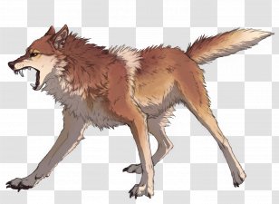 Coyote Dingo Dhole Red Fox Canis Ferox Transparent PNG