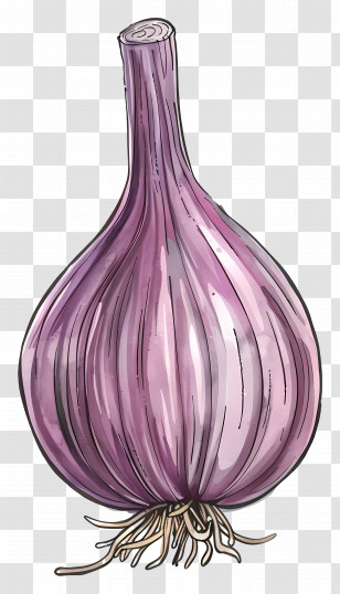 Shallot - Purple Garlic Bulb Illustration Transparent PNG