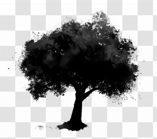 Black Tree - Black Ink Abstract Tree Silhouette Transparent PNG