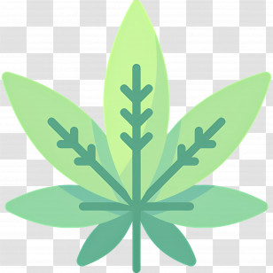 Cannabis Leaf - Abstract Green Leaf Illustration Transparent PNG