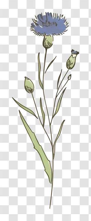 Blue Flower - Simple Flower Drawing Transparent PNG
