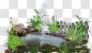 Pond Lawn Clip Art - Grass Transparent PNG
