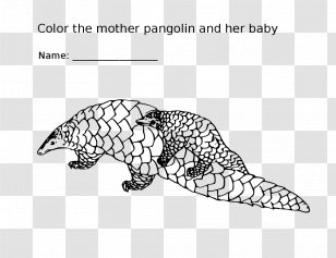 Marine Mammal Coloring Book Pangolin Rescue Adventure Film - Vertebrate - Paperkyte Transparent PNG