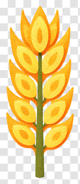 Golden Ear Of Wheat - Golden Wheat Illustration For Harvest Season Transparent PNG