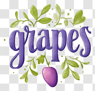 Grapes Logo - Grapes Hand-Lettered Illustration Transparent PNG