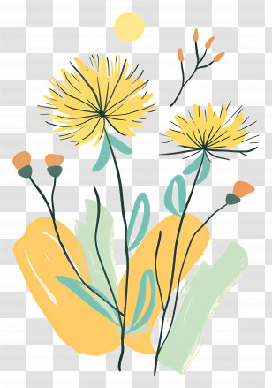 Dandelion - Yellow Flowers Illustration Transparent PNG