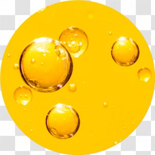 Nara Oil Smiley Topnaar People Africa - Botanical Transparent PNG