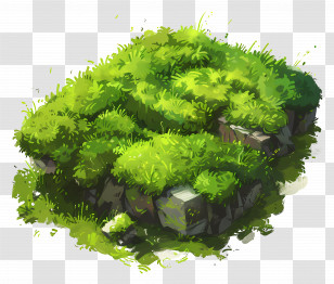 Green Moss - Lush Grass Patch Transparent PNG