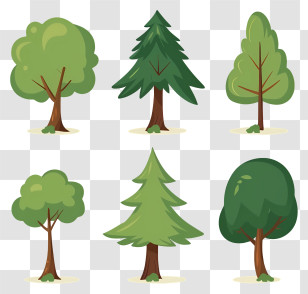 Trees - Cartoon Trees In Different Shapes And Sizes Transparent PNG