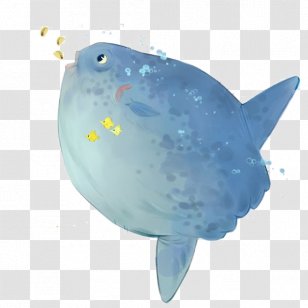 Right Whales Blue Whale - Animation Transparent PNG