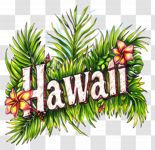 Hawaii - Hawaii Tropical Flowers And Leaves Illustration Transparent PNG