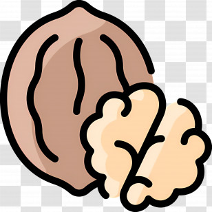 Walnut - Illustration Of Shelled And Unshelled Walnut Transparent PNG