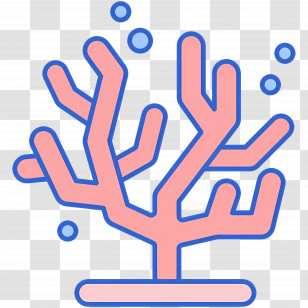 Coral Reefs - Coral Reef Illustration Transparent PNG