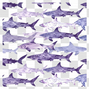 Shark Pattern - Pattern Of Sharks Transparent PNG