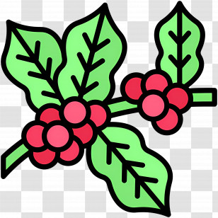 Coffee Plant - Holly Leaf And Berries Illustration Transparent PNG
