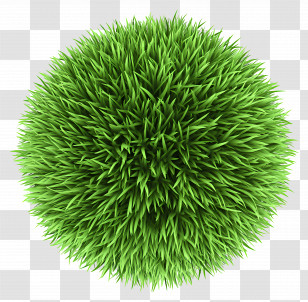 Grass Top View - Green Grass Sphere Transparent PNG