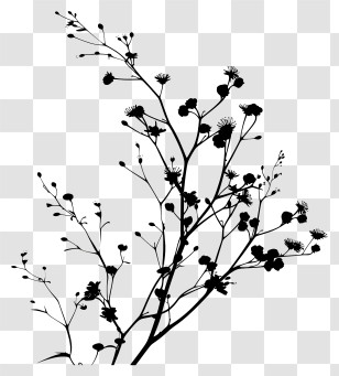 Flower Silhouette - Black Botanical Silhouette Design Transparent PNG