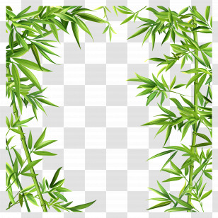 Bamboo Leaf Border - Natural Green Bamboo Frame Design Transparent PNG