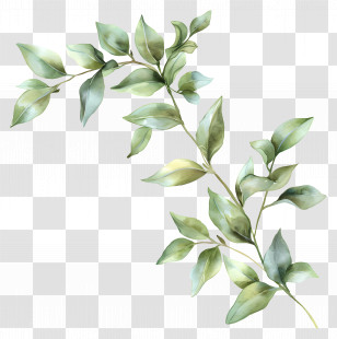 Watercolour Leaves - Watercolor Leaf Branch Illustration Transparent PNG