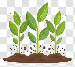 Green Plants - Green Plants Growing In Soil Transparent PNG