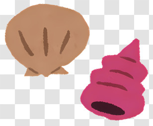 Seashell - Brown And Pink Seashells Transparent PNG