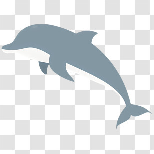 Dolphin - Dolphin Silhouette In Minimalistic Style Transparent PNG