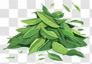 Bay Leaf - Pile Of Green Leaves Transparent PNG